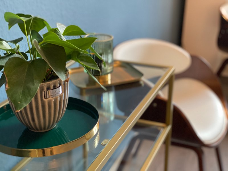 Eindrücke aus der Praxis